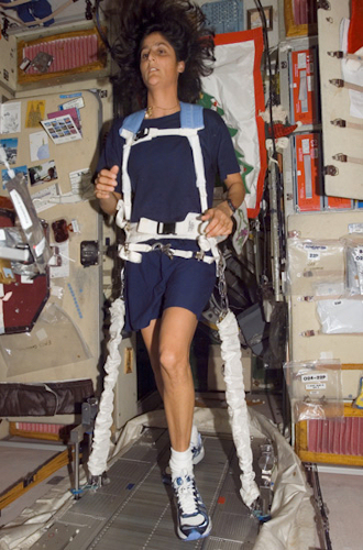 　宇宙の無重力環境に長期滞在する宇宙飛行士は、骨量の減少と筋萎縮を起こすことがある。そのような症状を防止するため、この写真のフライトエンジニアSunita Williams氏のように宇宙飛行士たちは、制振装置付きトレッドミルで運動をする。2007年4月の滞在時、Williams氏はトレッドミルを同年のボストンマラソンと同じペースに設定して使用した。