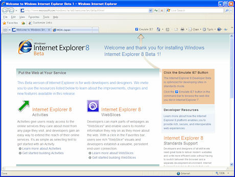 Internet Explorer8のインターフェース。Internet Explorer7から大きな変更はないが、いくつかのボタンが追加されているのがわかる。