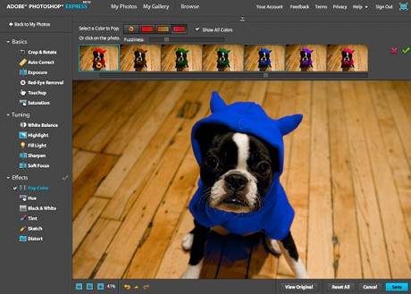 　Photoshop Expressには画像を楽しくするためのツールもそろっている。例えば、この犬の帽子のように、画像の一部の色だけを変えることができる。効果の違いをサムネールで確認できる。