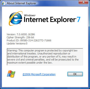 　Microsoftは2006年後半に、製品名を変更したWindows Internet Explorer 7をリリースする。このバージョンは2007年1月に「Windows Vista」に搭載される。名前が変わっただけでなく、このバージョンではタブブラウジング、RSS、Page Zoom、Quick Tabs、アンチフィッシングフィルタが採用され、さらにその他のセキュリティ保護機能もいくつか搭載されている。