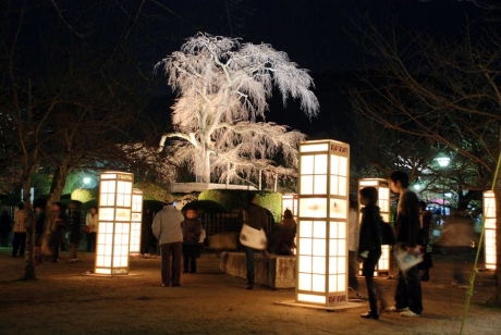 　3月14日から3月23日まで、京都の東山で「東山花灯路」という観光イベントが開催された。東山山麓に連なる青蓮院から円山公園・八坂神社を通って清水寺に至る散策路約4.6kmが、露地行灯約2,400基で彩られる。毎年、春に催されるこのイベントに、なんと今年はグーグルが参加した。