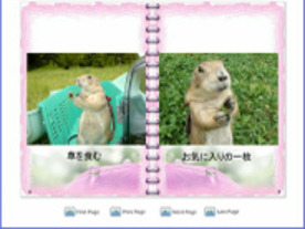 [レビュー]どのぐらいカンタンにFlash作成ができるか？-- ソースネクスト「Web Effect」