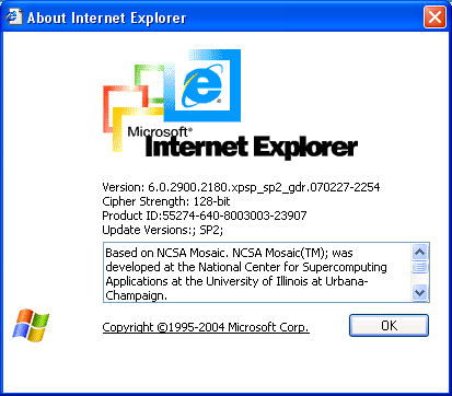 　Microsoftは2001年10月、「Windows XP」をリリースする。Windows XPにはInternet Explorer 6が搭載されている。このバージョンでは、画像の自動リサイズと印刷のプレビュー機能が導入された。「Windows XP SP2」では、Internet Explorer 6にポップアップ防止機能が追加された。