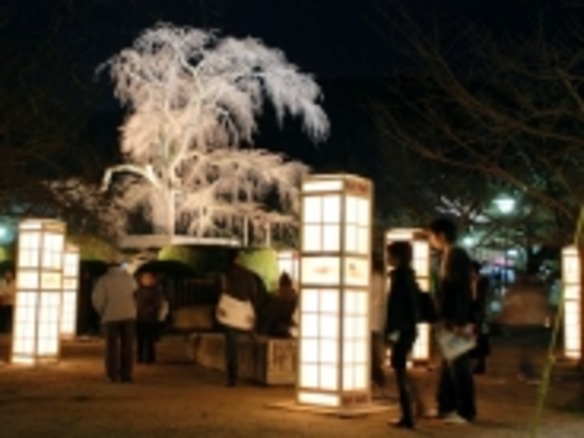 iGoogleアート灯篭が照らす--京都・東山花灯路にグーグル参加