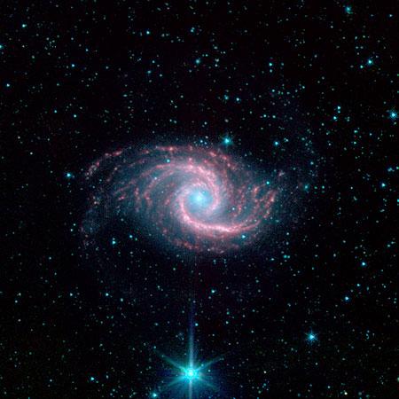 　かじき座の中にあり、地球から約6000万光年の距離に位置する、この美しい渦巻銀河「NGC 1566」は、「Spitzer Infrared Nearby Galaxies Survey（SINGS）Legacy Project」により、Spitzer宇宙望遠鏡の赤外線配列カメラ（IRAC）を使って撮影された。

　ぼんやりした青い光は成熟した星からのもので、「燃えるような」赤い渦巻腕は、星が形成過程にあり、ちりが放出されていることを示している。星の形成の大半は、対称に位置する2本の渦巻腕に見られ、ワールプール銀河など、ほかの壮大な渦巻銀河を連想させる。小さくて非常に明るい青い中心部を持つことから、この銀河がセイファート銀河（中心核の非常に小さい領域から活発に光を放射している銀河）であることが示唆される。