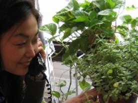 フォトレポート：植物に水やりするタイミングを電話で通知--Botanicalls