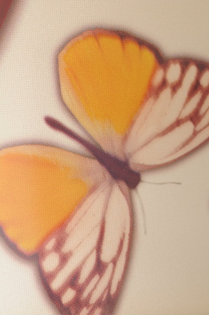 　蝶はふんわりとしたデザインだが、リアリティがある。
