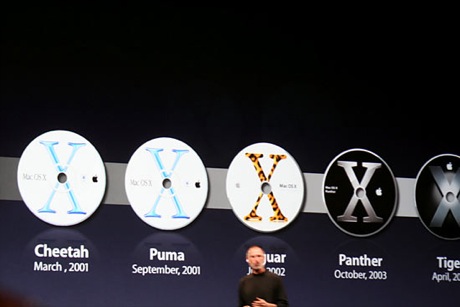 　Appleには現在1900万人ものOS Xユーザーがおり、直近のメジャーリリースだった「Tiger」（開発コード名）は、Appleにとって最も成功を収めたソフトウェアになっているとJobs氏は述べた。
