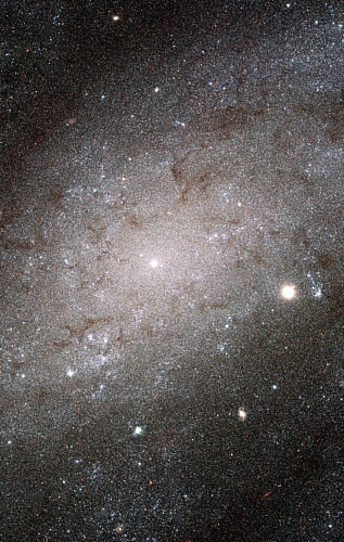 　Hubble宇宙望遠鏡の掃天観測用高性能カメラ（Advanced Camera for Surveys：ACS）で撮影した銀河NGC 300の鮮明な画像。

　NGC 300との距離は650万光年だ。この写真は約7500光年の距離をカバーしてり、密集した銀河で非常に多くの星を識別できるHubbleのユニークな性能を示している。
