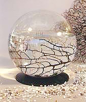 Ecosphere：完全に閉じた生態系

　Abundant Earthの賢い人が、自己完結型の海水生態系を作った。これは、NASAの科学者が開発した技術が結実したものだ。

　Ecosphereは完全に閉じていて、自己完結しており、様々な大きさのガラス球の形で提供されている。値段は大きさによる。この球体の中ではエビ、藻、バクテリアが共生環境でに置かれており、地球のエコシステムを単純化したものになっている。つまり、完全な生態循環に必要なすべての要素が含まれている。

　Ecosphereは完璧に密封されており、注意を払わなくても維持されるようになっている。従って、えさの心配は必要ない。
