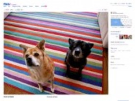 Flickr、より大きな写真でエクスペリエンスを向上へ--リキッドレイアウトにも対応