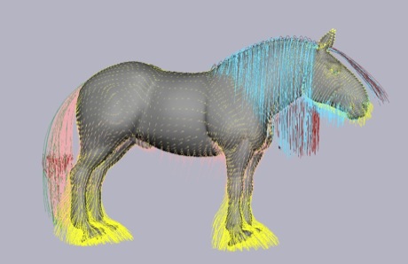 　メリダの馬であるアンガスと、その複雑な毛を表現したコンピュータモデル。