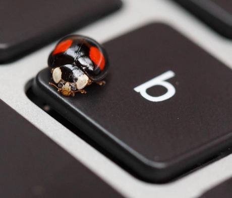 　バグがまったくないコンピュータとはどんなコンピュータだろう？バグ（Bug）の最初の文字である「b」キーにとまっているこの虫は、どのキーの上にいればよいか少なくとも分かっているようだ。