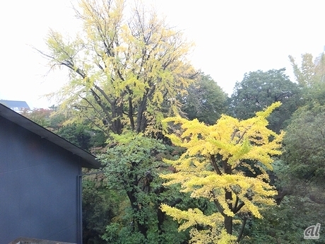 　新オフィスの所在地は表参道。根津美術館の隣というロケーションのため、窓の向こうには緑が広がる。取材時はちょうど赤や黄に色づく木々が見えた。