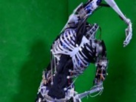 東京大学が開発するヒューマノイドロボット「腱志郎」
