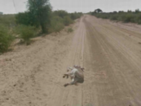 「Street View」撮影車はロバをひき逃げしていない--グーグル、疑惑を否定