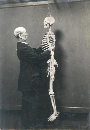 　サンダーランド博物館で、人体骨格に触れることで人間の身体を「見ている」視覚障害者。

　かつてイギリスのサンダーランド博物館の学芸員だったJohn Alfred Charlton Deas氏は、1913年から、視覚障害のある人々のために、サンダーランド博物館の展示物をいくつか手で触れられる機会を設けた。最初は、サンダーランド市評議会盲学校の子どもたちが招かれた。
