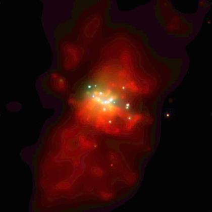 　Chandra X線観測衛星によって撮影されたこの画像は、M82の点状の「超大光度」X線源の種族を強調するためにカラー化されている。M82は地球から1100万光年の距離にあるスターバースト銀河だ。

　赤色は低エネルギーバンド、緑色は中エネルギー、青色は観測された中で最も高いエネルギーを表している。白色と黄色の超大光度X線源は、低エネルギーと高エネルギー両方のX線を大量に放射する。

　われわれの銀河系にある同様のX線源の10倍～数百倍のX線を放射する超大光度X線源は、大質量ブラックホールか、地球の方向にエネルギーを放射しているブラックホールのどちらかだと考えられている。画像の中心近くにある最も明るい点状の超大光度X線源は、現在までにあらゆる銀河で発見された超大光度X線源の中で、最も強力なものだ。
