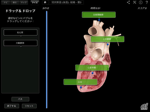 　CMの中でも印象的な心臓が脈打つ映像は、メディカルアプリ「Heart Pro III」で見られる。本格的な内容で、画面をタップしてあらゆる表示を拡大できるほか、指を使って切開したりもできる。価格は850円（3月27日現在）。
