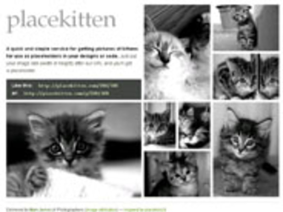 ［ウェブサービスレビュー］子猫の写真で指定サイズのダミー画像を生成してくれる「placekitten」