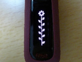 活動量計fitbit zipとoneを1カ月試用（2）--fitbit oneは階数表示と睡眠モニタ機能も