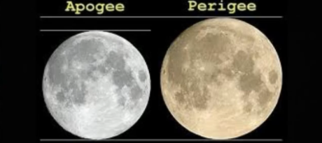 　「SLOOH Space Camera」によるカナリア諸島からの生中継によると、近地点にあるスーパームーンは、通常の満月より13％以上大きかったという。