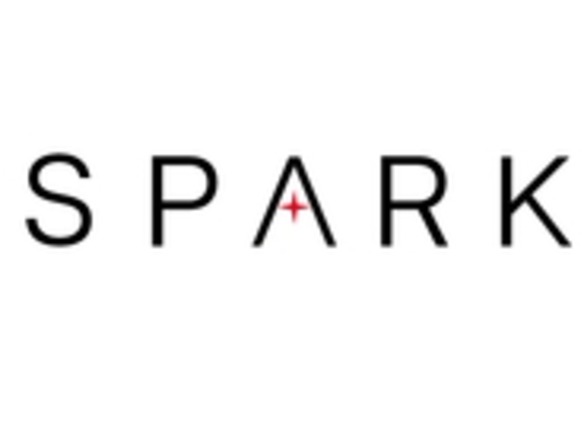 日本初でO2Oの専門戦略コンサルティング会社「SPARK」が8月1日設立