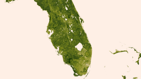 　NASAとNOAAのSuomi NPP衛星によって2013年3月18日から24日に収集された画像。オキチョビー湖の南に広がる「草の川」は、同地域の状態が変わったことをはっきりと示している。同地を変えたのは農地の集中やスプロール現象、そして南フロリダを十字に流れる水路が境界線の水資源保全地域などだ。