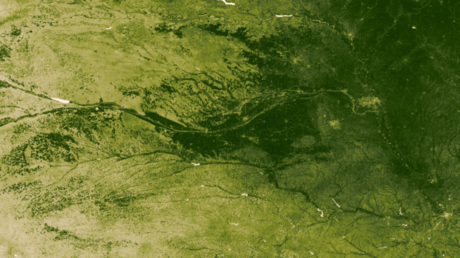 　これは米航空宇宙局（NASA）と米海洋大気庁（NOAA）の「Suomi NPP」衛星が2012年7月22日から28日にかけて撮影した画像で、ネブラスカ州のプラット川流域に広がる農地が写っている。この地域では米国の年間のトウモロコシ収穫量の約40％が生産されており、同地域から流入する栄養素によって、ミシシッピ川流域からメキシコ湾までの水界生態系と海洋生態系が育まれている。
