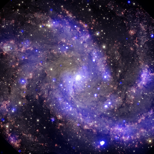 　科学者によれば、地球から約2200万光年離れたところにあるこの渦巻銀河では、過去100年間に8回の超新星爆発が起きているという。したがって、「花火銀河」というニックネームは、この銀河にふさわしい。