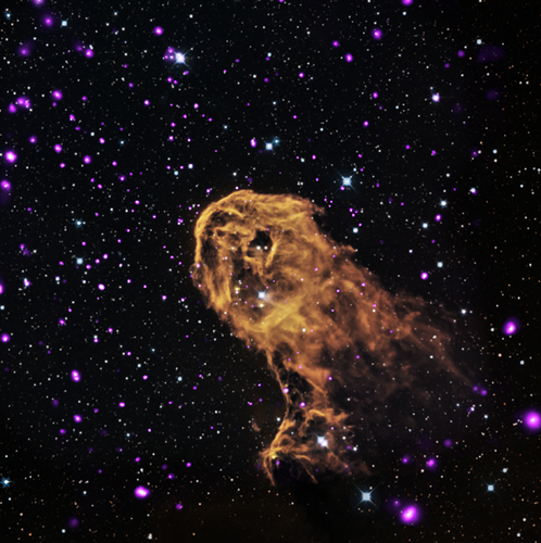 　冗談だが、この画像を誰かへのロールシャッハテストに使ったら良いのではないか。それまでは、「象の鼻星雲」という正式なニックネームでも知られる「1396A」は、地球から約2800光年離れたところで若い大質量星からの放射と風が低温のガスの雲と衝突したことで誕生したといえば十分だろう。