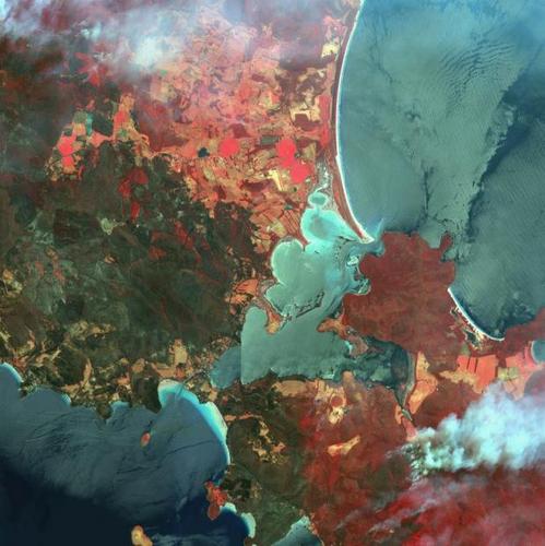 　この疑似カラー衛星写真は、オーストラリアのダンオーリー近くで広がる火と煙を写している。1月に撮影。赤い部分は良好な植物を示している。