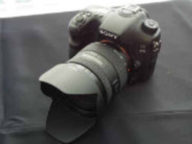 ソニー 唯一無二のaf性能 A77 Ii 動画も静止画も外さない 逃さない Cnet Japan