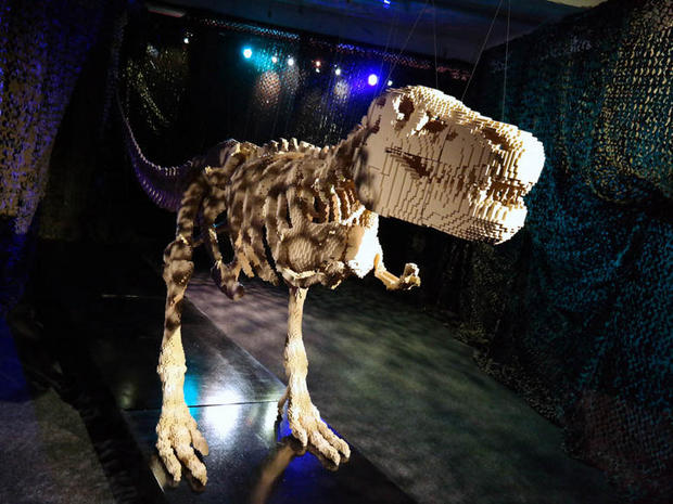 　これは展示されている中で最も大きな像だ。人ほどのサイズのある恐竜の骨格である。