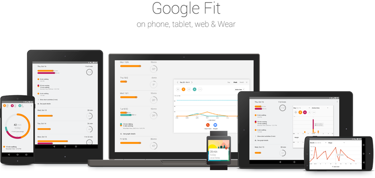 Google Fitはウォーキングやサイクリングなどのユーザー活動を追跡する。