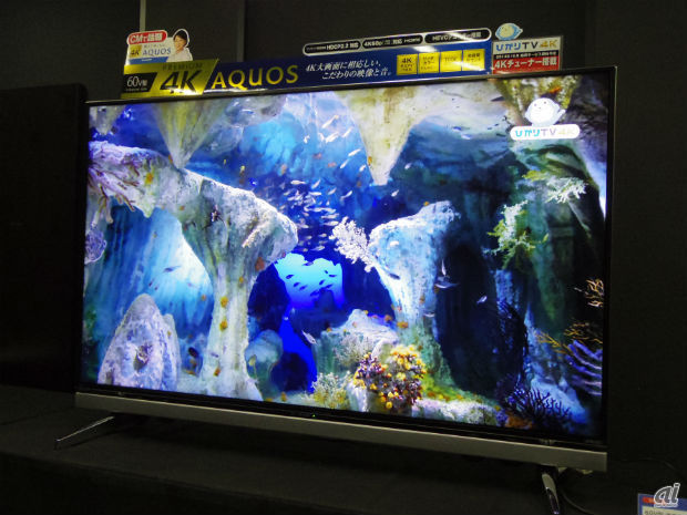 　ひかりTV独自制作の4Kコンテンツも提供している。写真は「行ってみたい！動物園＆水族館」。動物の毛並みや動物がプールに飛び込んだ時に発生する水の泡などは、4Kならではの高精細さで表現しているという。