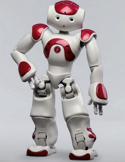 Aldebaran RoboticsのNAO EVOLUTION

　SFの世界でわれわれが想像するロボットとよく似た姿形のロボットがついに完成した。それはAldebaran Roboticsのヒューマノイドロボット「NAO EVOLUTION」だ。間の抜けた顔つきにだまされてはいけない。このロボットは学校や大学、職場での応用が期待できるプロフェッショナルなツールなのだ。

　そして、プロフェッショナルなツールであるがゆえに、非常に高い価格となっている。

価格：およそ8000ドル