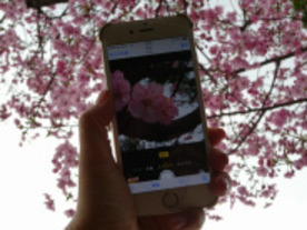 桜の季節に便利なiPhoneカメラ5つの機能--お手軽自撮り撮影からシェア機能まで