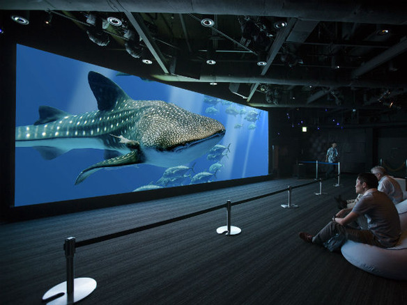 ソニービルで美ら海体験--「48th Sony Aquarium」が7月24日から開催