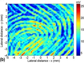 偽の指紋も見破れる超音波式の指紋センサ--米物理学会が開発