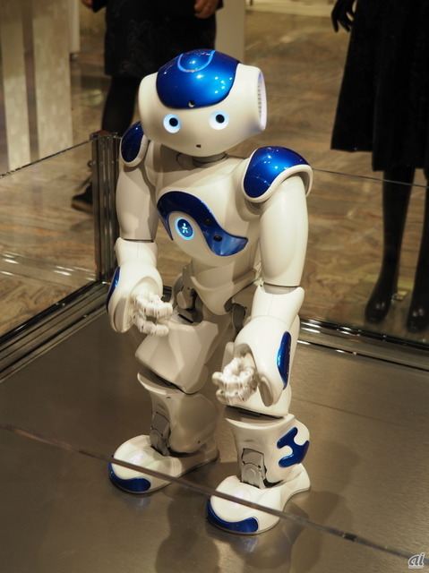 　身長は58cmで、Pepperよりも小さい。顔が似ているのは、Pepperを開発したAldebaranが産んだもう一つのロボットだからだ。