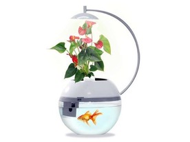 植物と魚でオフィスに“うるおい”を--スマホ連携プランター＆金魚鉢