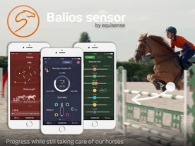 馬に装着するウェアラブル端末「Balios」--馬術の訓練を効率化