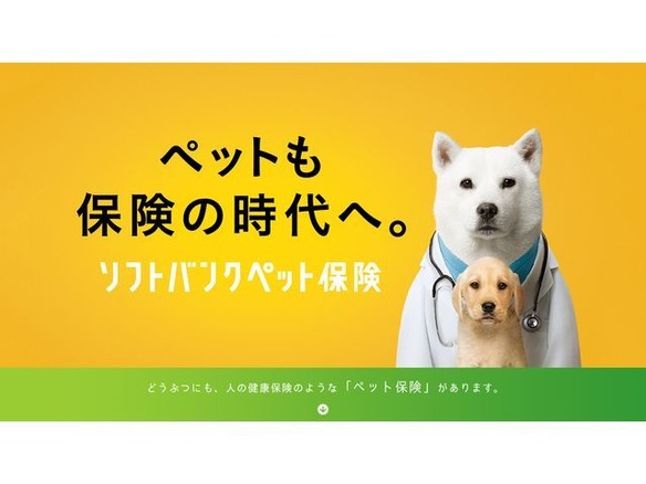 ソフトバンク、犬猫対象の「ソフトバンクペット保険」をユーザーに提供