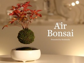 飛行石が入っていそうな空中浮遊する盆栽「Air Bonsai」