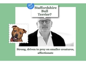 どの犬に似ているかを顔写真で判断--MS、顔認識サイト「What-dog.net」公開