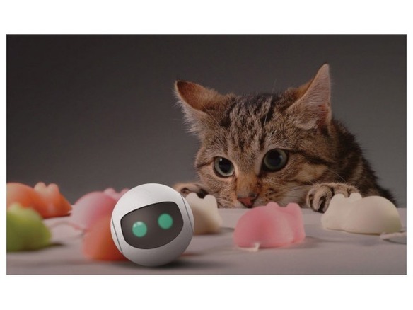 ネズミのように逃げ回るネコ用スマート玩具 Rollycat Cnet Japan