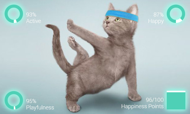 猫の体と心の健康管理に（出典：Indiegogo）