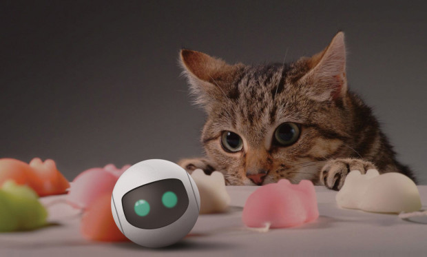 猫に合わせて遊んでくれるボール型スマート玩具（出典：Indiegogo）