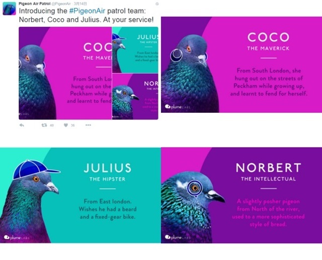 監視を担当する3羽の鳩たち（出典：Twitter）
